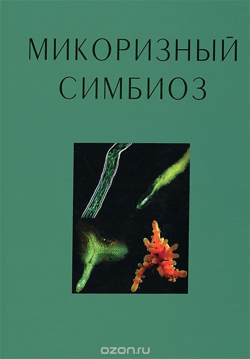 Микоризный симбиоз, С. Э. Смит, Д. Дж. Рид