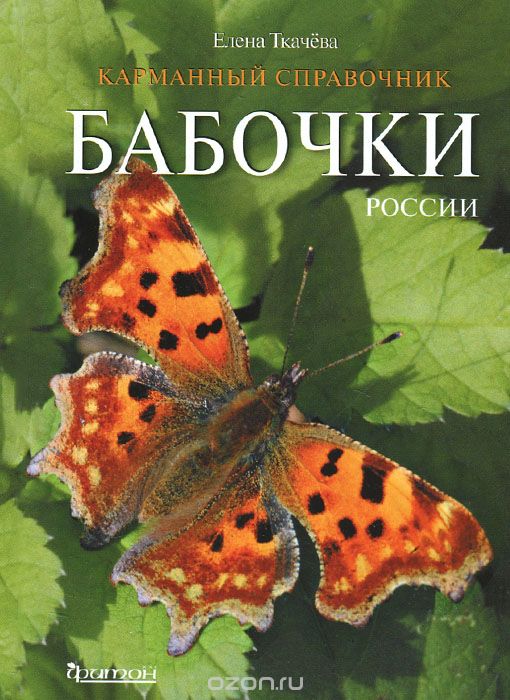 Скачать книгу "Бабочки России, Елена Ткачева"