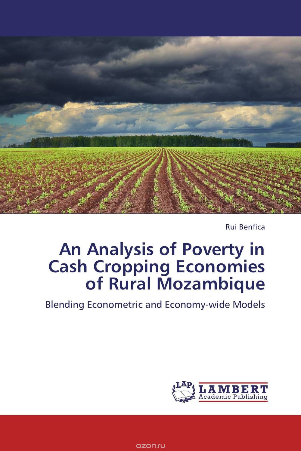 Скачать книгу "An Analysis of Poverty in Cash Cropping Economies of Rural Mozambique"