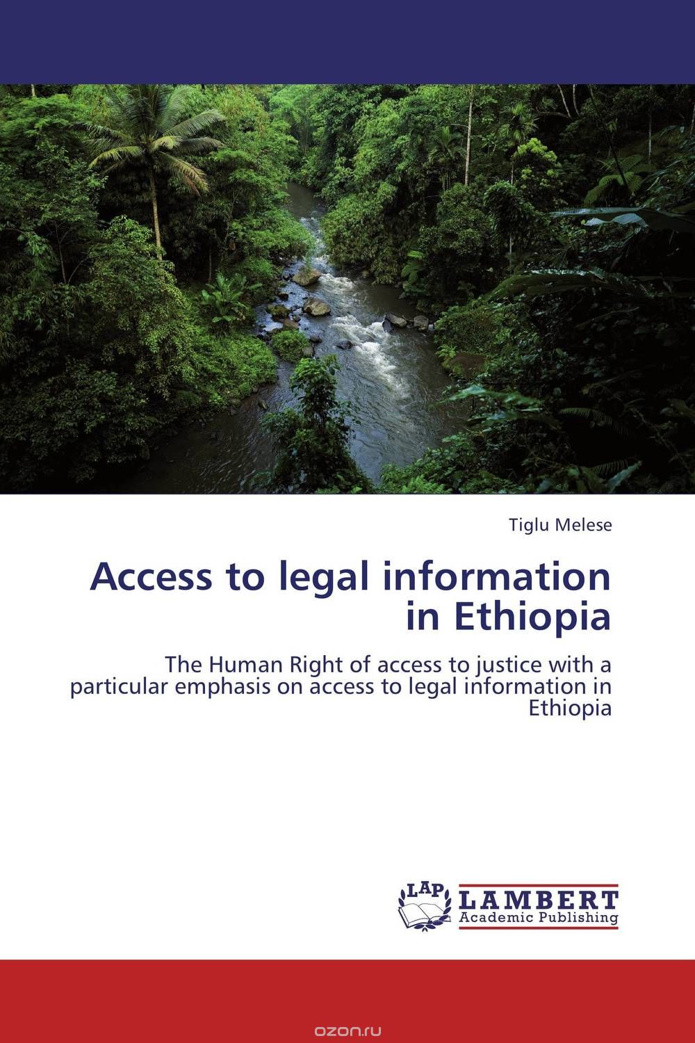 Скачать книгу "Access to legal information in Ethiopia"