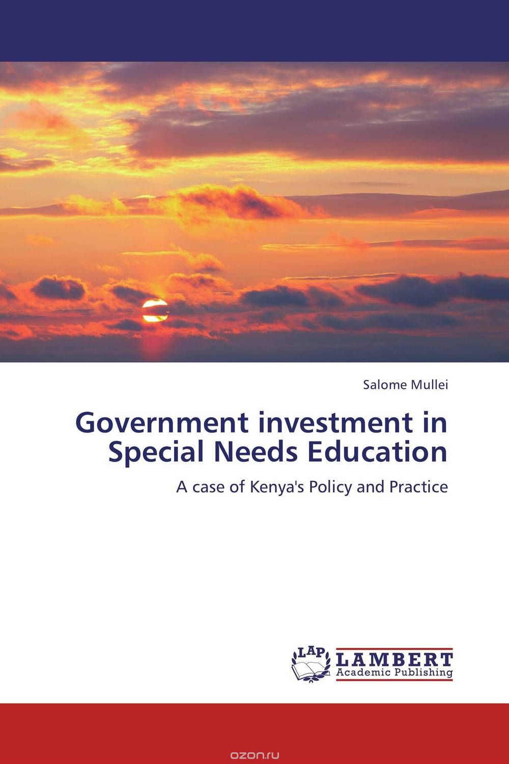 Government investment in Special Needs Education