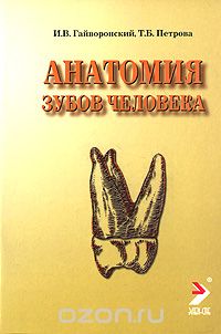 Анатомия зубов человека, И. В. Гайворонский, Т. Б. Петрова