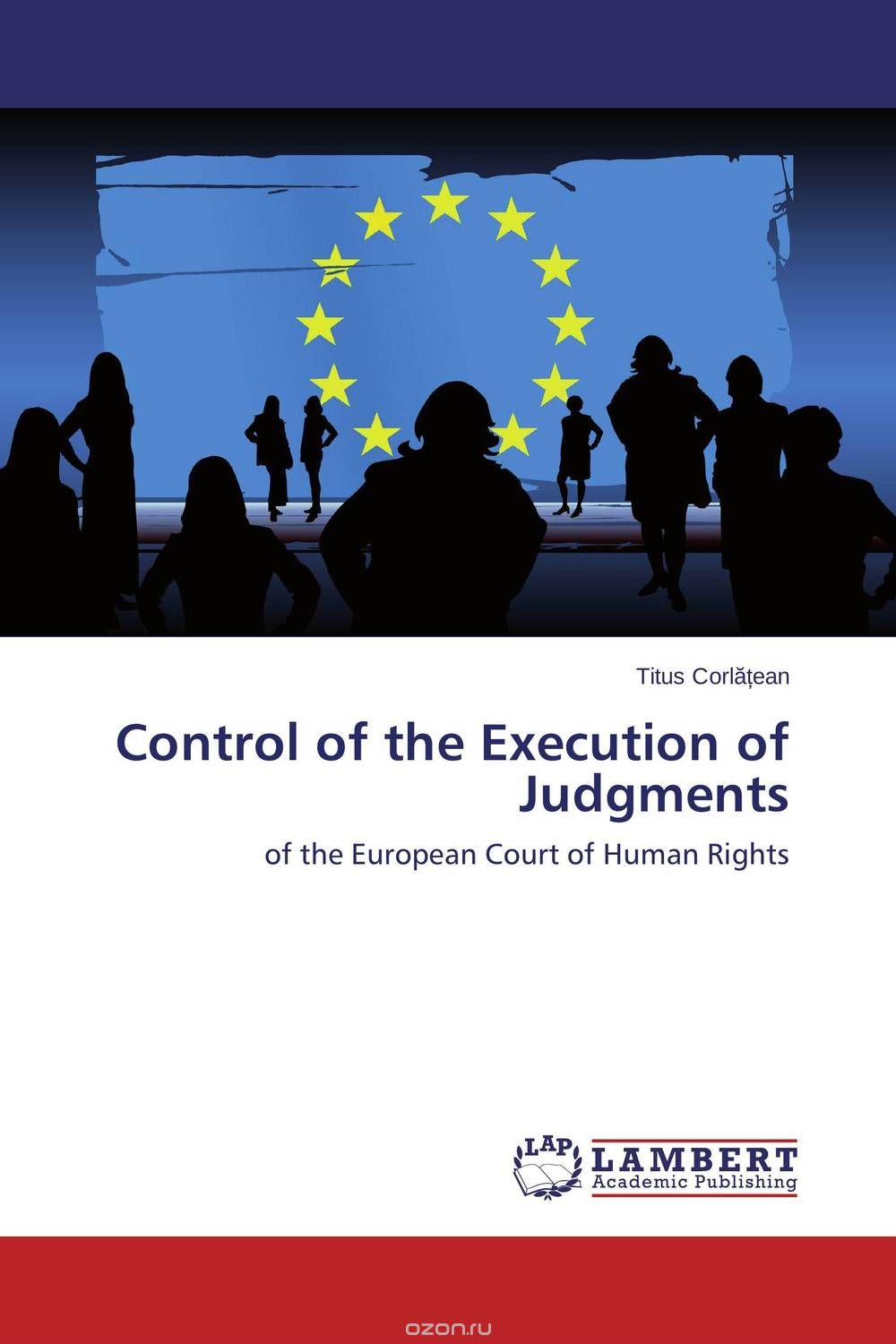 Control of the Execution of Judgments