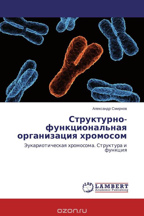 Структурно-функциональная организация хромосом
