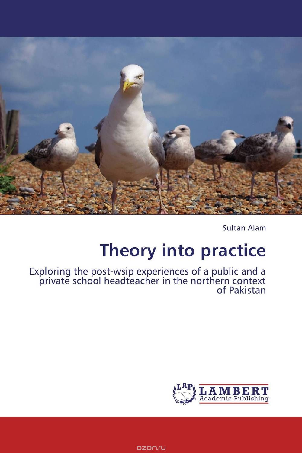 Theory into practice