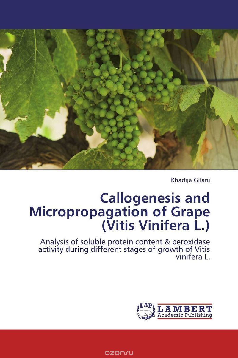 Скачать книгу "Callogenesis and Micropropagation of Grape (Vitis Vinifera L.)"