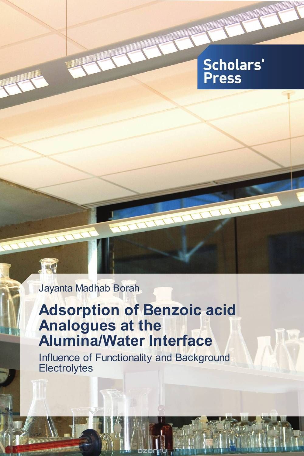 Adsorption of Benzoic acid Analogues at the Alumina/Water Interface