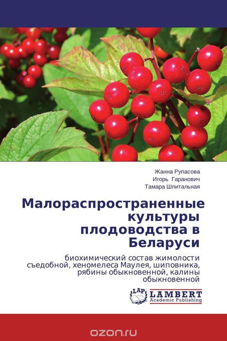 Малораспространенные культуры плодоводства в Беларуси