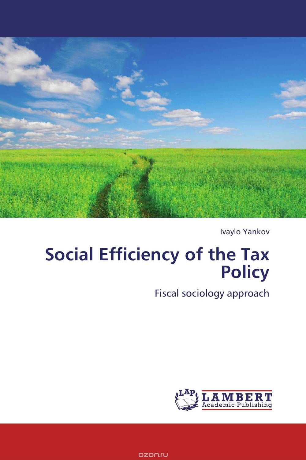 Скачать книгу "Social Efficiency of the Tax Policy"